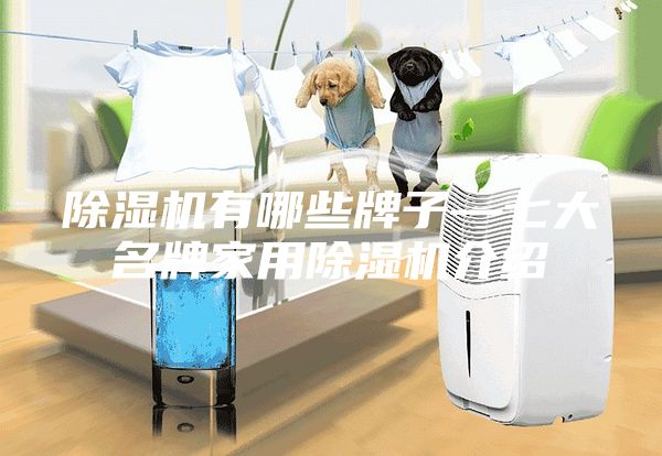 除湿机有哪些牌子—七大名牌家用除湿机介绍