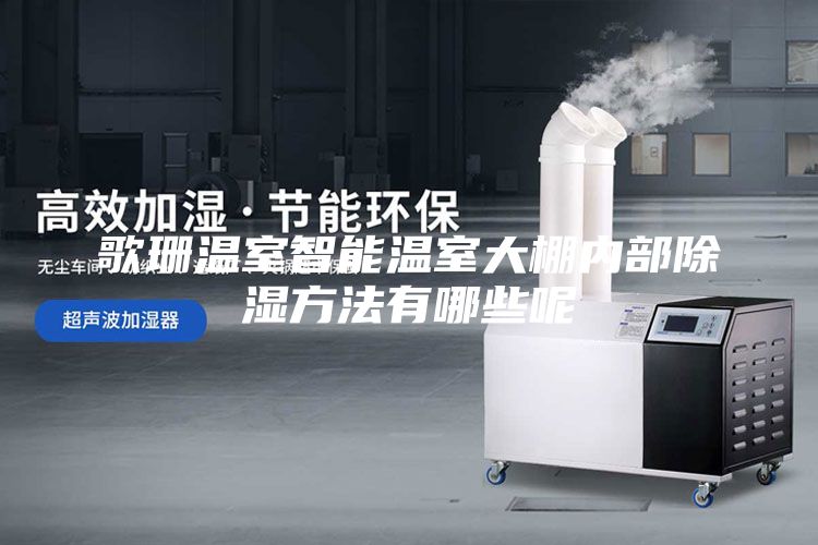 歌珊温室智能温室大棚内部除湿方法有哪些呢