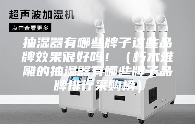 抽湿器有哪些牌子这些品牌效果很好吗！（朽木难雕的抽湿器有哪些牌子品牌排行采购榜）