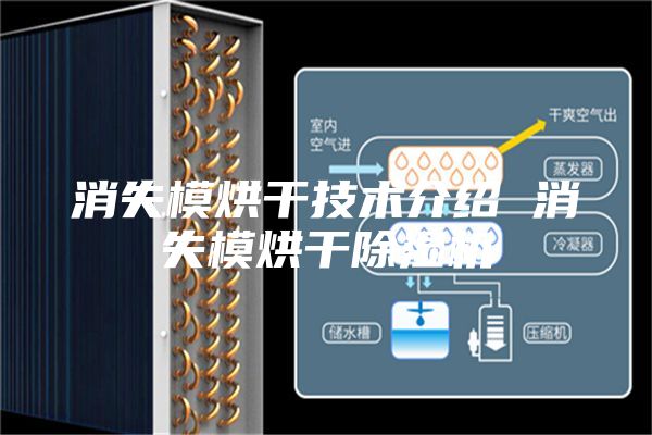 消失模烘干技术介绍 消失模烘干除湿机