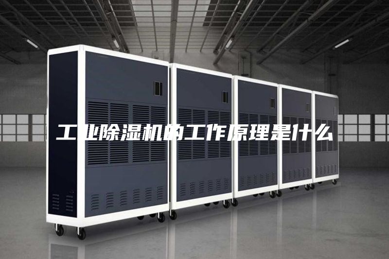 工业除湿机的工作原理是什么