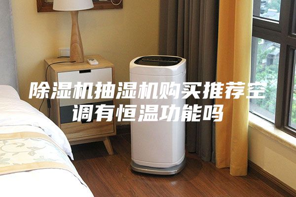 除湿机抽湿机购买推荐空调有恒温功能吗