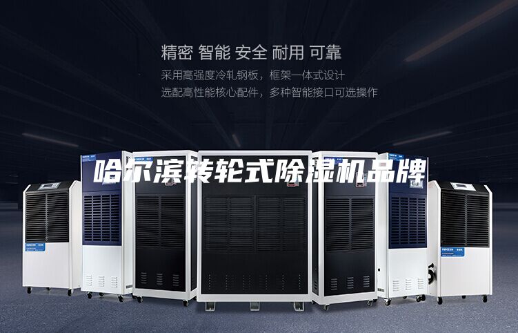 哈尔滨转轮式除湿机品牌