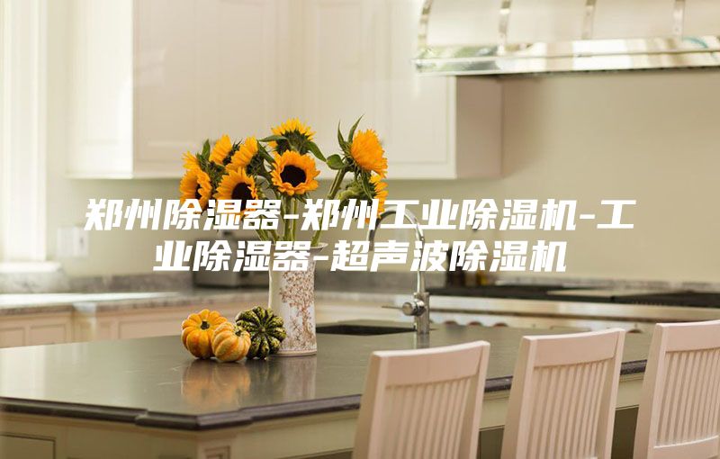 郑州除湿器-郑州工业除湿机-工业除湿器-超声波除湿机