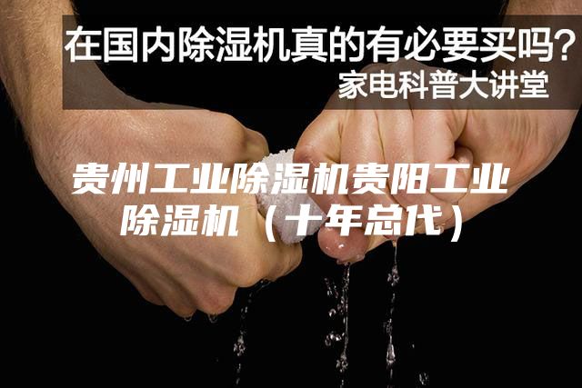 贵州工业除湿机贵阳工业除湿机（十年总代）