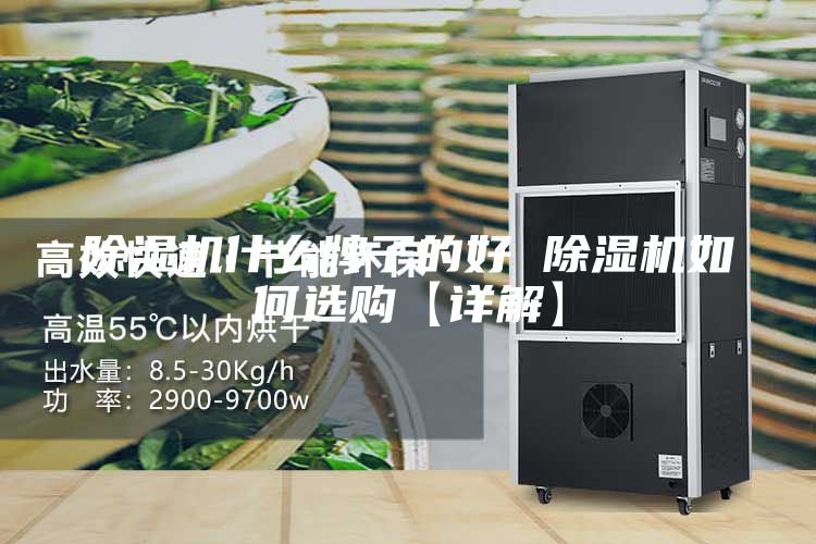 除湿机什么牌子的好 除湿机如何选购【详解】