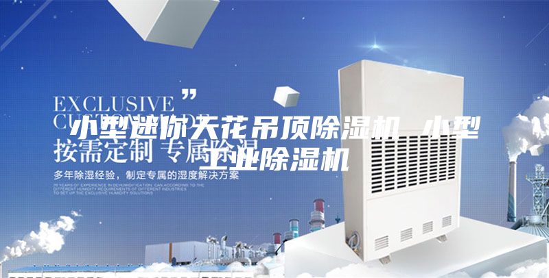 小型迷你天花吊顶除湿机 小型工业除湿机