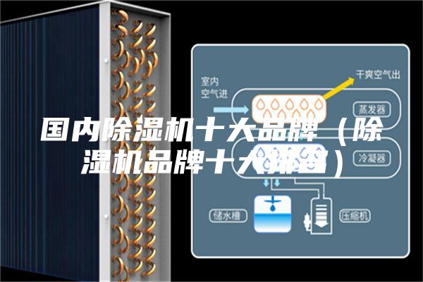 国内除湿机十大品牌（除湿机品牌十大排名）