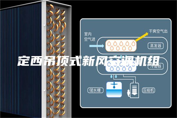 定西吊顶式新风空调机组