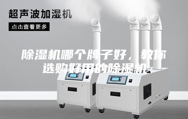 除湿机哪个牌子好，教你选购好用的除湿机