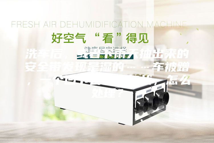 洗车后，或者下雨天抽出来的安全带发现是湿的……车被蹭，一个凹下去的对勾状，怎么处理？