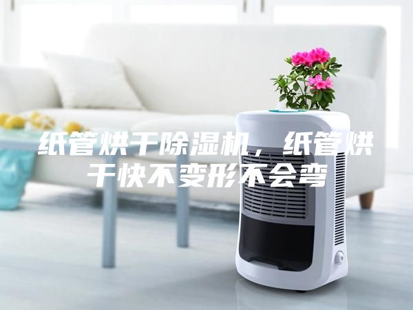 纸管烘干除湿机，纸管烘干快不变形不会弯