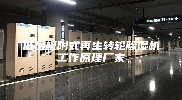 低温吸附式再生转轮除湿机工作原理厂家
