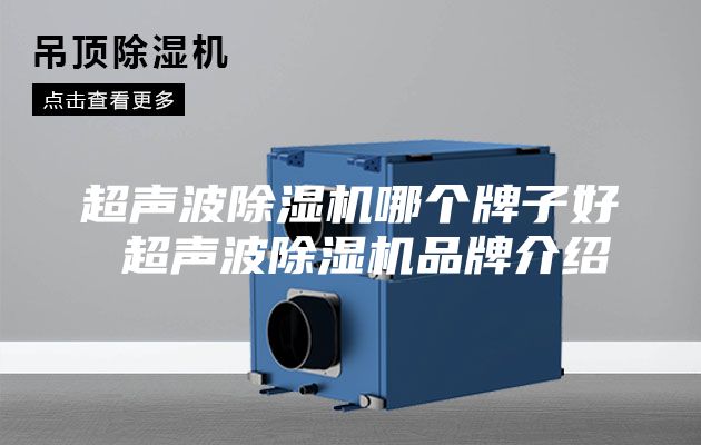 超声波除湿机哪个牌子好 超声波除湿机品牌介绍