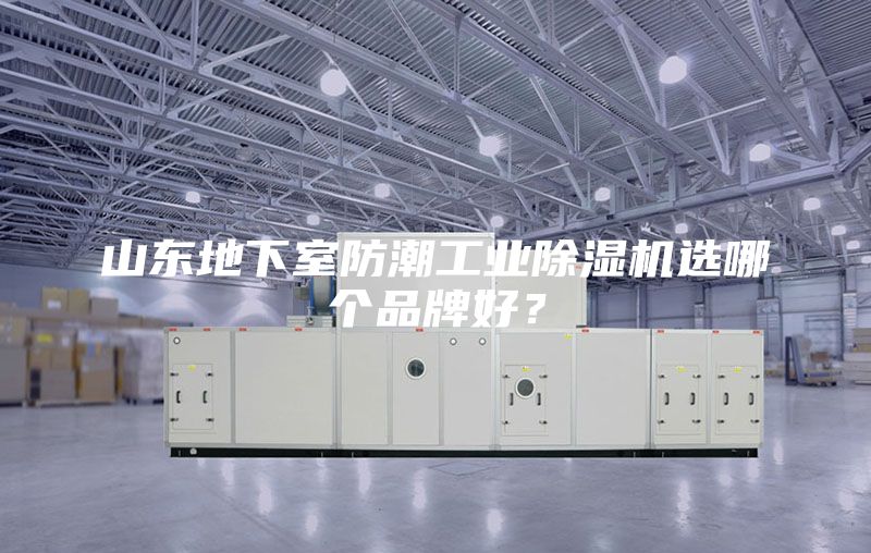 山东地下室防潮工业除湿机选哪个品牌好？