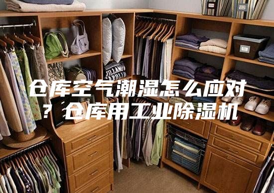 仓库空气潮湿怎么应对？仓库用工业除湿机