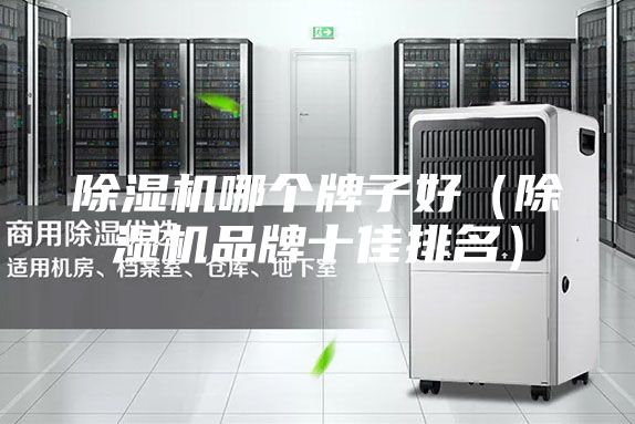 除湿机哪个牌子好（除湿机品牌十佳排名）