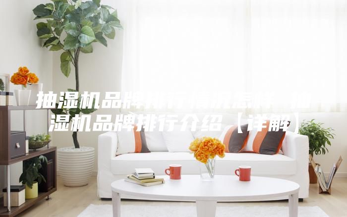 抽湿机品牌排行情况怎样 抽湿机品牌排行介绍【详解】