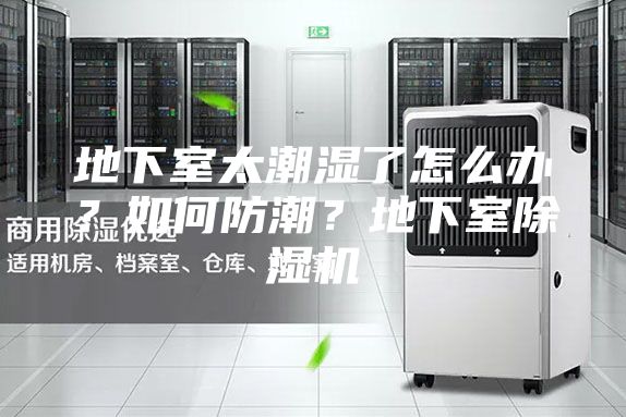 地下室太潮湿了怎么办？如何防潮？地下室除湿机