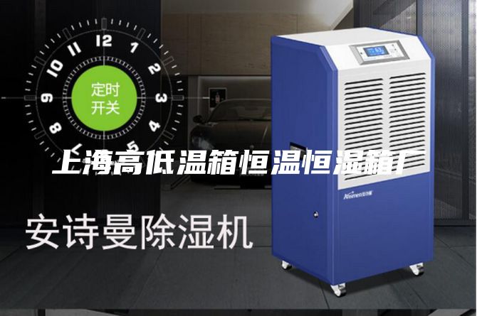 上海高低温箱恒温恒湿箱厂