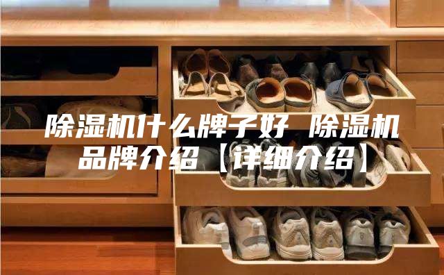 除湿机什么牌子好 除湿机品牌介绍【详细介绍】
