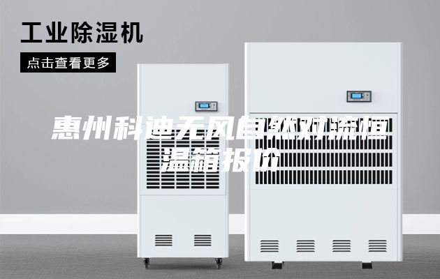 惠州科迪无风自然对流恒温箱报价
