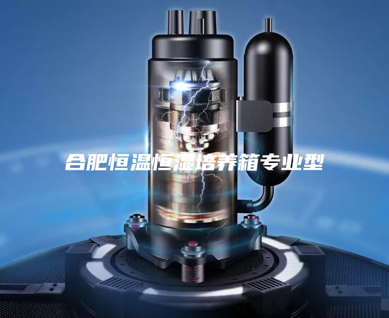 合肥恒温恒湿培养箱专业型