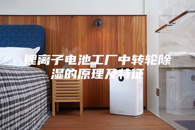 锂离子电池工厂中转轮除湿的原理及特征