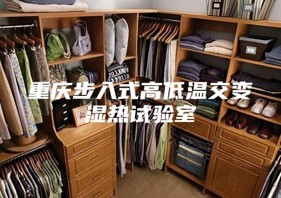 重庆步入式高低温交变湿热试验室
