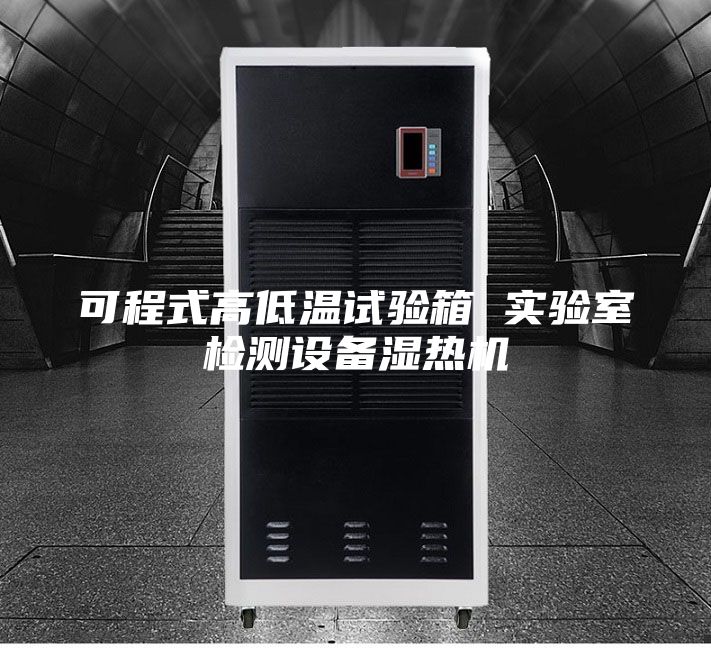 可程式高低温试验箱 实验室检测设备湿热机