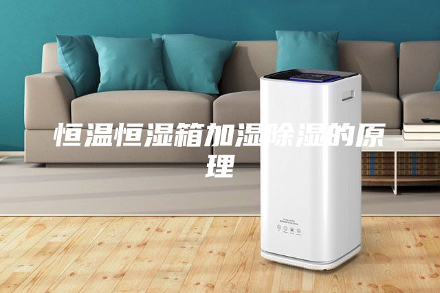 恒温恒湿箱加湿除湿的原理