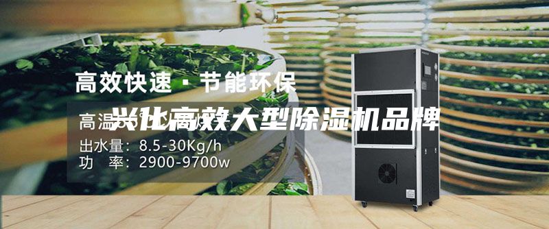 兴化高效大型除湿机品牌
