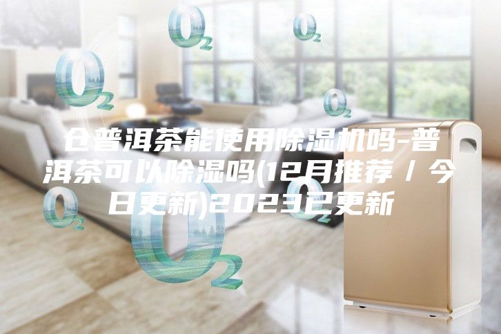 仓普洱茶能使用除湿机吗-普洱茶可以除湿吗(12月推荐／今日更新)2023已更新