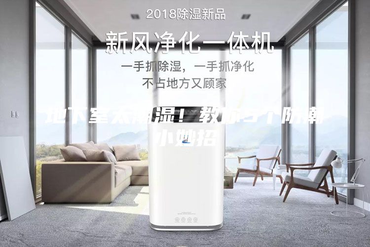 地下室太潮湿！教你5个防潮小妙招