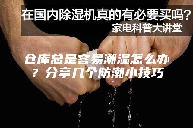 仓库总是容易潮湿怎么办？分享几个防潮小技巧