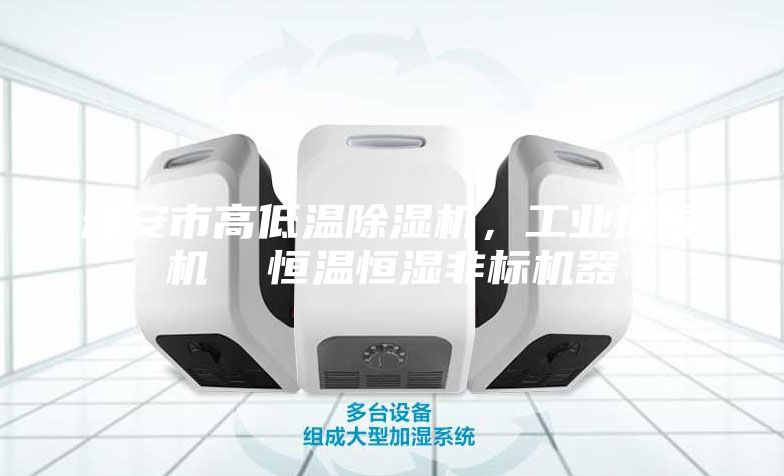 雅安市高低温除湿机，工业抽湿机  恒温恒湿非标机器