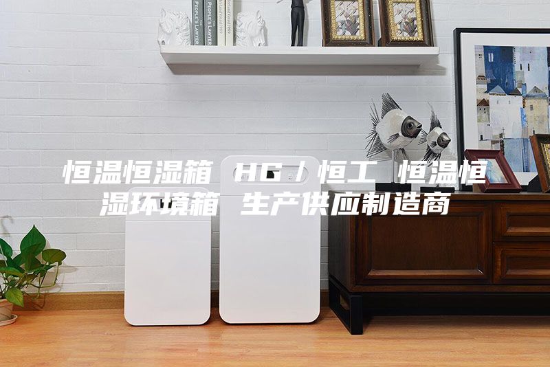 恒温恒湿箱 HG／恒工 恒温恒湿环境箱 生产供应制造商