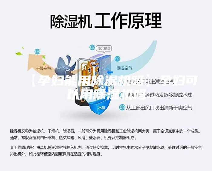 【孕妇能用除湿机吗】孕妇可以用除湿机吗
