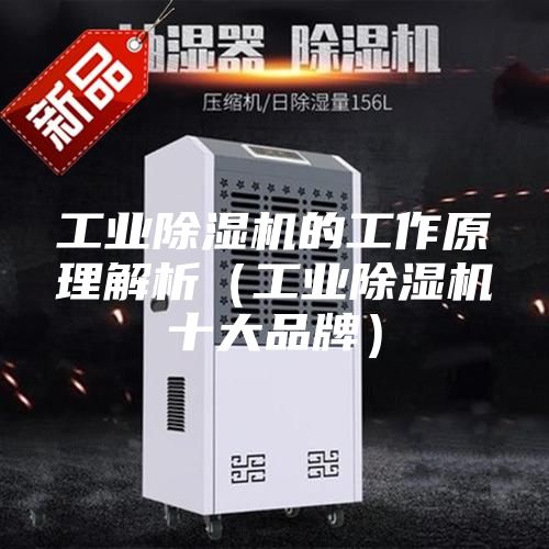 工业除湿机的工作原理解析（工业除湿机十大品牌）