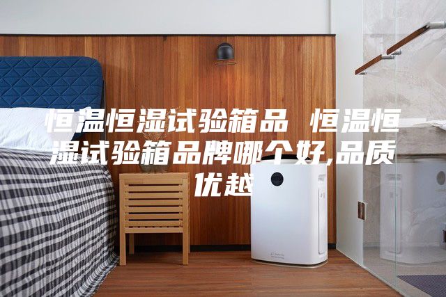 恒温恒湿试验箱品 恒温恒湿试验箱品牌哪个好,品质优越