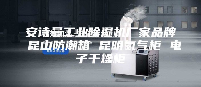 安诗曼工业除湿机厂家品牌 昆山防潮箱 昆明氮气柜 电子干燥柜