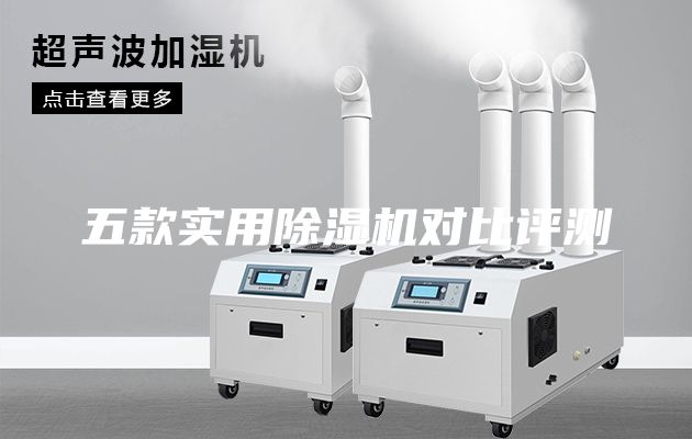 五款实用除湿机对比评测