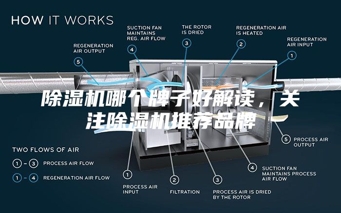 除湿机哪个牌子好解读，关注除湿机推荐品牌