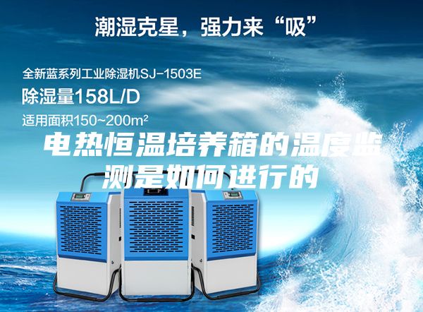 电热恒温培养箱的温度监测是如何进行的
