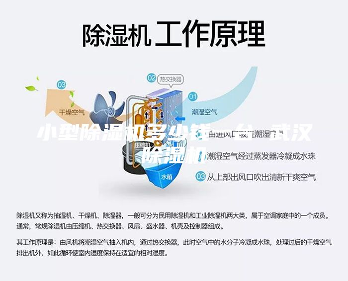 小型除湿机多少钱一台 武汉除湿机