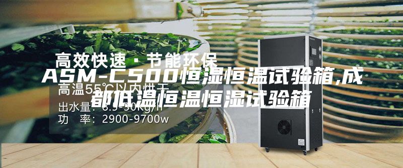 ASM-C500恒湿恒温试验箱,成都低温恒温恒湿试验箱