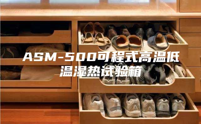 ASM-500可程式高温低温湿热试验箱