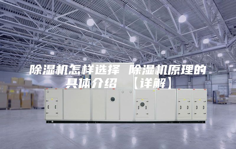 除湿机怎样选择 除湿机原理的具体介绍 【详解】