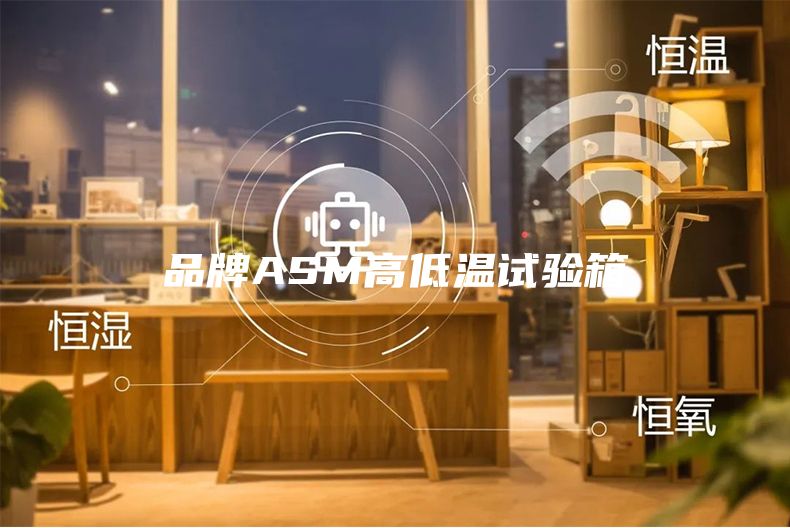 品牌ASM高低温试验箱