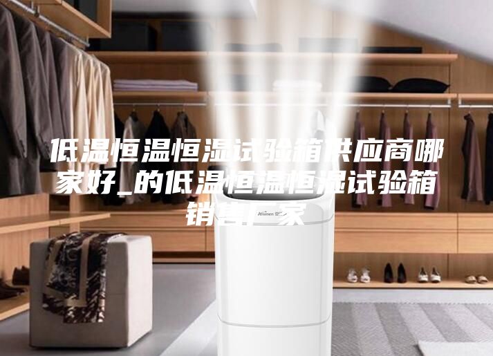 低温恒温恒湿试验箱供应商哪家好_的低温恒温恒湿试验箱销售厂家